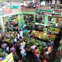 Cocina, coctelería en tu casa