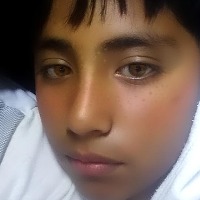 Técnico en computación