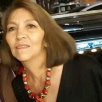 Diseñador página comercial web